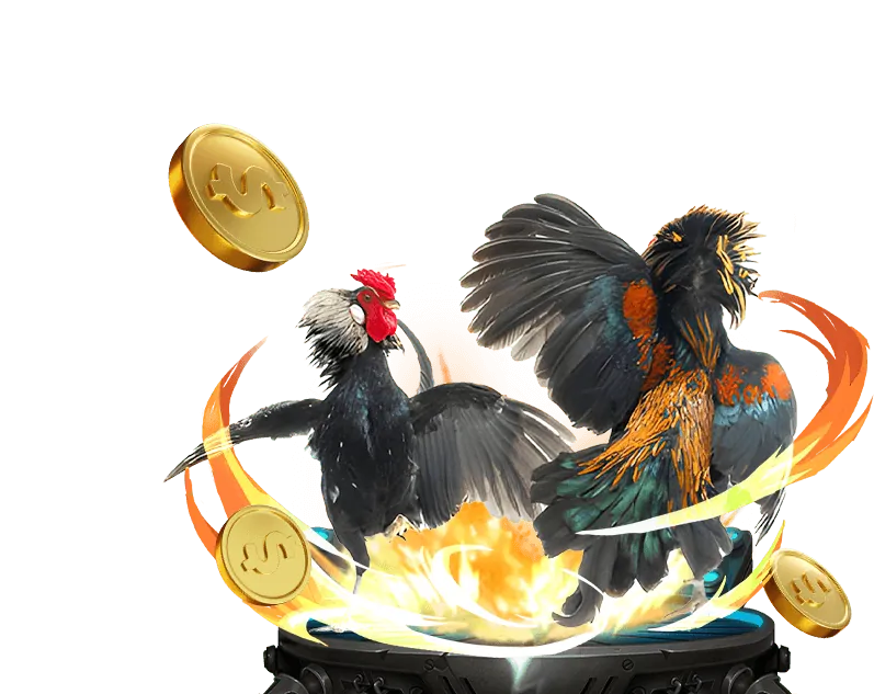 Các loại kèo cược đá gà tại VZ99