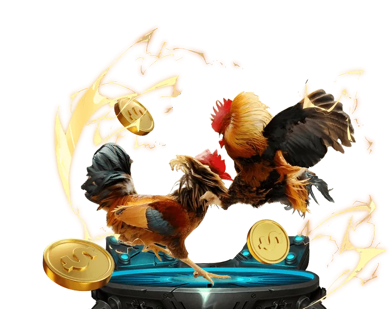 Quy trình 4 bước trở thành đại lý VZ99